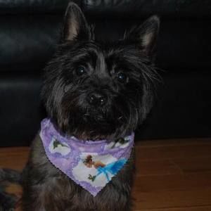 Meet your Posher, Paula